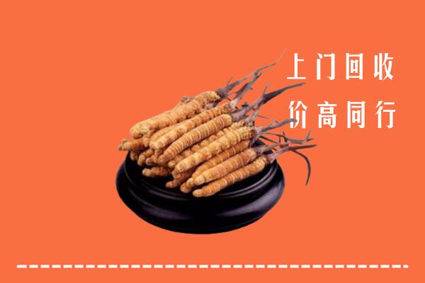 高价求购：怀宁县回收散虫草