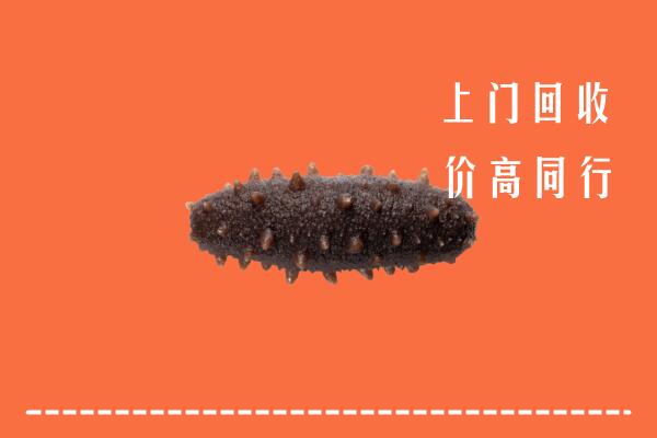 高价求购：怀宁县回收海参