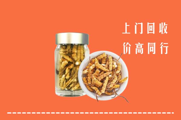 怀宁县回收冬虫夏草